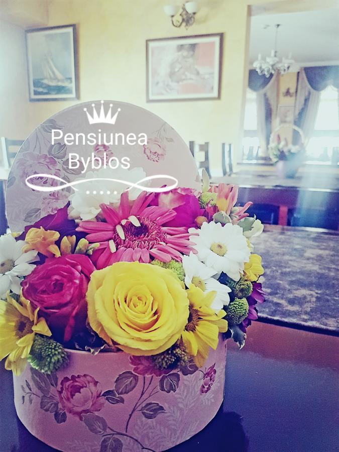 Pensiunea Byblos Piatra Neamţ Exteriör bild